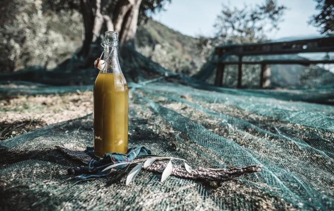 La Taverna Tra Gli Ulivi Villa Perinaldo Екстериор снимка